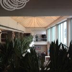 More Indoor Gardens Upstairs At Rydges Capital Hill Canberra