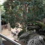 The Indoor Garden At Rydges Capital Hill Canberra