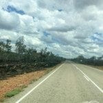Burned section along the road