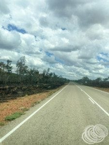 Burned section along the road
