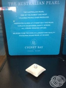 The largest pearl at Cygnet Bay Pearl Showroom