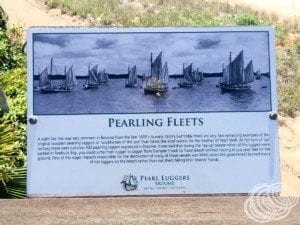 The pearling fleets