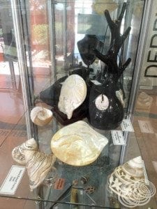 Shell art at the Derby visitor centre