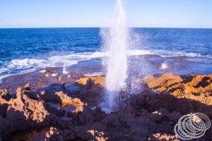 One of the Quobba Blow Holes