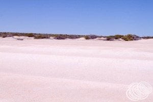 The rolling shell dunes of Shell Beach