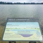 A little bit of information about the microbial communities of Lake Thetis