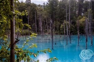 Shirogane Blue Pond is one of the gems you will find in this itinerary.
