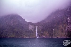 Stirling Falls in Milford Sound