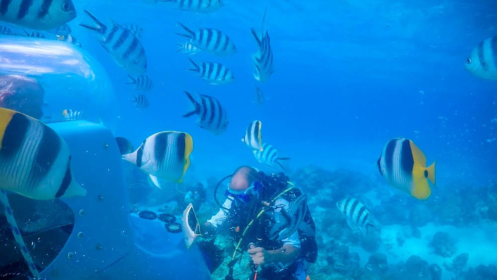 Underwater Aquabiking in Bora Bora