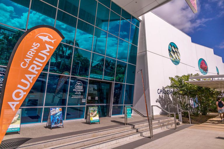 Cairns Aquarium Review & Photo Tour Still As Life