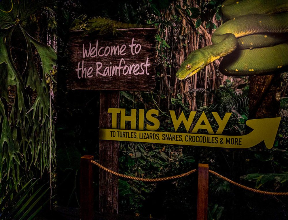 Welcome to the Rainforest Sign