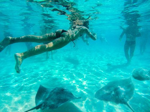 Snorkelling with stingrays in Moorea