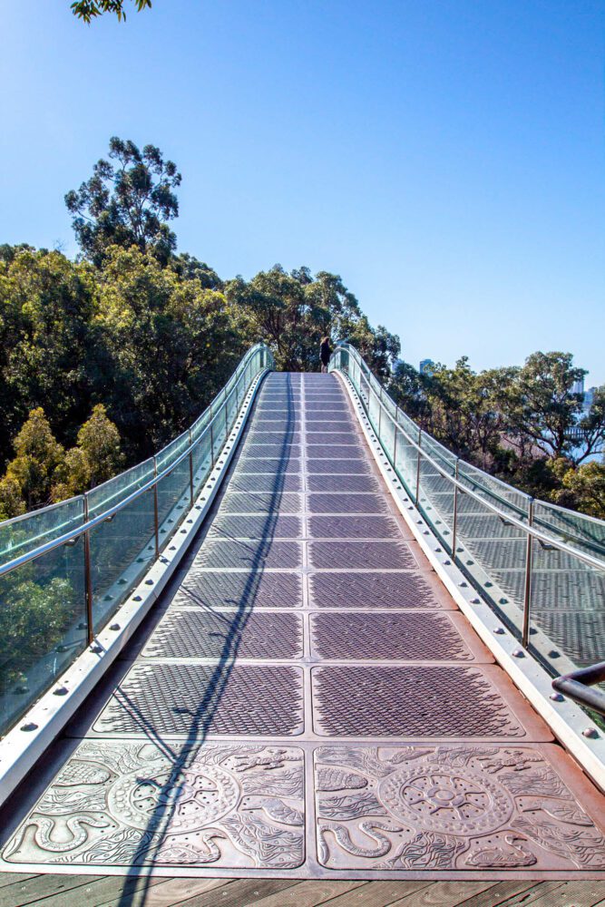 Glass Arched Bridge at Kings Park Perth