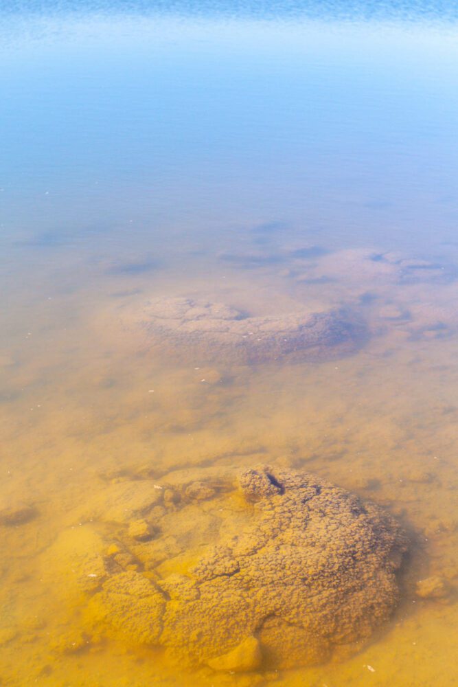 Lake Thetis Stromatolites