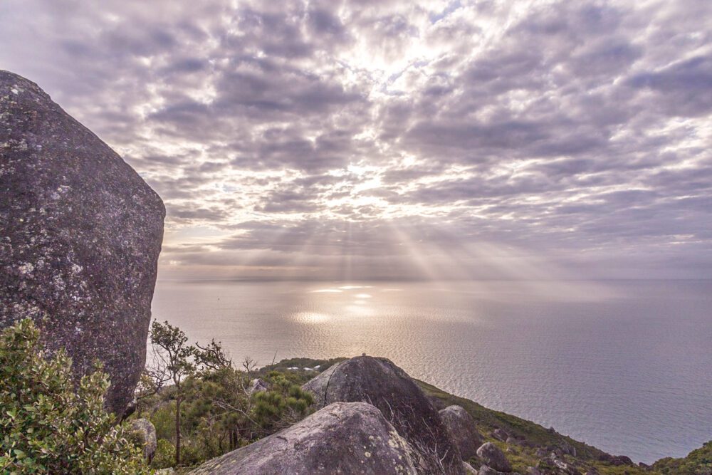 The View From Fitzroy Island Summit