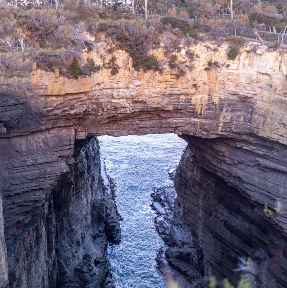 Tasmans Arch is a natural bridge across a sea-worn tunnel.