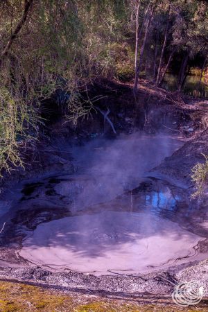 Boiling Mud at Kuirau Park Rotorua